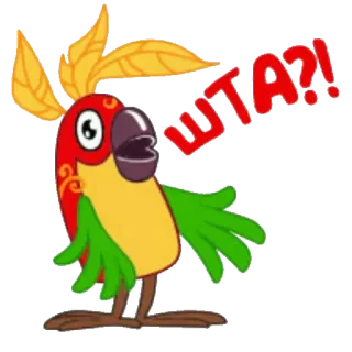 😴 8b17a5c2 WTA?! 鹦鹉, 卡通, 鸟, 表情, 什么, 问题 telegram sticker