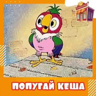 Попугай Кеша @stickernayaa telegram stickers