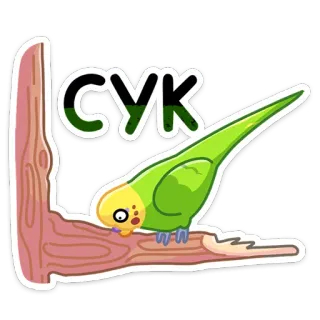 Попуги :: @stickroom telegram stickers