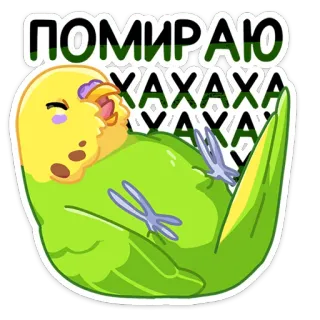 😂 61619198 ПОМИРАЮ ХАХАХАХА 鸟, 鹦鹉, 绿色, 垂死, 笑, 鹦鹉 telegram sticker