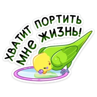 😡 7d263568 ХВАТИТ МНЕ ПОРТИТЬ ЖИЗНЬ! 鸟, 鹦鹉, 宠物, 喝, 卡通, 搞笑 telegram sticker