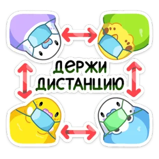 Попуги :: @stickroom telegram stickers