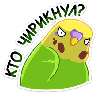 😡 bdcc3422 КТО ЧИРИКНУЛ? 鸟, 鹦鹉, 可爱, 动物, 贴纸, 生气, 表情包 telegram sticker