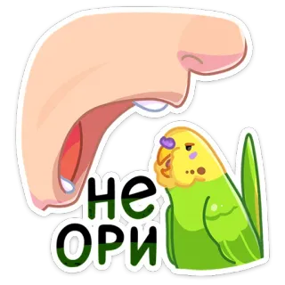 🤬 bfb1a30c НЕ ОРИ 鹦鹉, 卡通, 脸, 嘴, 贴纸, 俄语, 鸟, 生气 telegram sticker