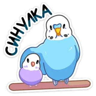 🦜 fc14cac5 СИНИЧКА 鸟类, 鹦鹉, 贴纸, 山雀, 可爱, 动物, 宠物 telegram sticker