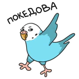 😚 a1d0d50a ПОКЕДОВА periquito, pássaro, desenho animado, animal, animal de estimação, azul telegram sticker