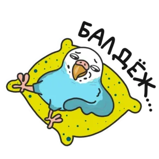 😜 fc7a85e0 БАЛДЁЖ... pássaro, periquito, fofo, relaxar, feliz, almofada telegram sticker