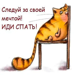 😁 575f5e3f Следуй за своей мечтой! ИДИ СПАТЬ! cat, dream, sleep, russian, cartoon, humor, motivation telegram sticker