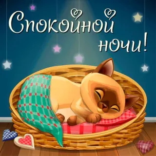 🙃 7ec19757 Спокойной ночи! cat, good night, sleeping, cute, animals, peaceful telegram sticker