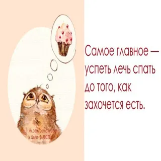 😌 e49d732f Самое главное -
успеть лечь спать
до того, как
захочется есть. owl, cupcake, sleep, food, dream, cartoon, animal telegram sticker