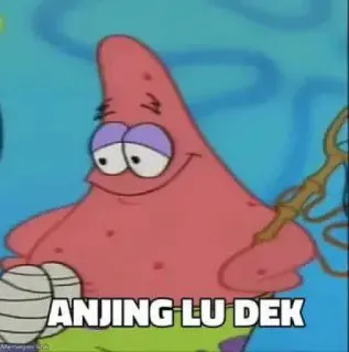 ➖ aef860c2 Patrick Star SpongeBob SquarePants ANJING LU DEK patrick, spongebob, kartun, meme, menyinggung, hinaan telegram sticker
