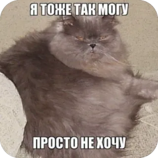 🫥 1946bf2e Я ТОЖЕ ТАК МОГУ ПРОСТО НЕ ХОЧУ kot, mem, śmieszne, zwierzę, zwierzak telegram sticker