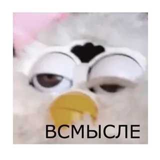 Частная коллекция telegram stickers