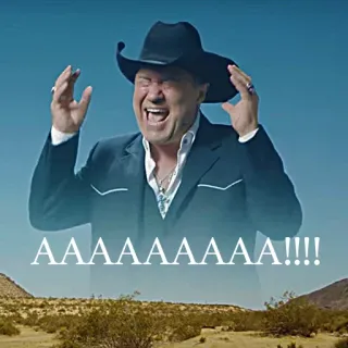 😩 ac2a883e AAAAAAAAAAA!!!! krzyk, krzyczący, mężczyzna, kowbojski kapelusz, pustynia, wyraz, emocjonalny, rozpacz telegram sticker