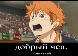 🙂 b1c4ca3d Hinata Shoyo Haikyuu!! добрый чел.
позитивный anime, hinata, haikyuu, friendly, positive, manga, character telegram sticker