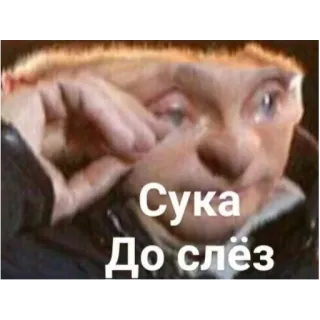 😢 edf68993 Сука
До слёз offensive, crying, russian, meme, reaction, humor, insult telegram sticker