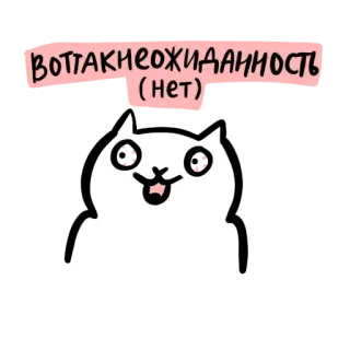 🤪 2a91e376 ВОТ ТАК НЕОЖИДАННОСТЬ (HET) 猫, 惊讶, 俄语文字, 搞笑, 意外 telegram sticker