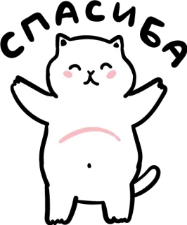 😊 480233c1 猫, 可爱, 卡哇伊, 白猫, 快乐 telegram sticker