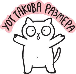 📏 db3ca9de УОТ ТАКОВА РАЗМЕРА 猫, 贴纸, 搞笑, 可爱, 表情包 telegram sticker