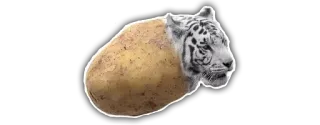 🐯 36460692 kartoffel, tiger, tier, lustig, meme, hybrid telegram sticker