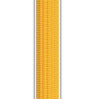 🔃 bce71dc0 Mais, Gemüse, Essen, Gelb, Getreide, Kolben telegram sticker