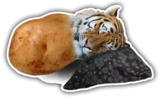 💤 cbe26056 Tiger, Kartoffel, Tier, Essen, Hybrid, Schläfrig, Kissen telegram sticker