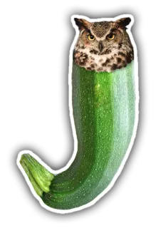 🍆 f3e3aa36 eule, zucchini, gemüse, tier, lustig, hybrid, essen telegram sticker