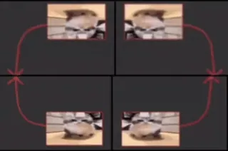 🌟 21712994 whatsapp sticker