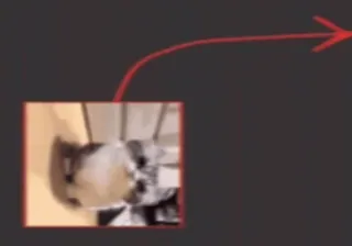 🌟 53ec3855 whatsapp sticker