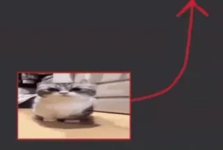 🌟 665c8a2e Katze, Meme, Tier, Lustig, Pfeil whatsapp sticker