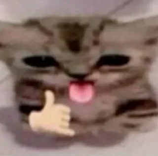 🌟 7beef71f Katze, Daumen hoch, Tier, Meme, Süß, Lustig whatsapp sticker