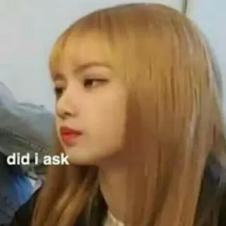 😑 bce317d2 did i ask sarcasm, meme, question, face telegram sticker