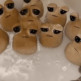 💧 ff0594b7 ếch, động vật, dễ thương, hài hước, meme, internet whatsapp sticker