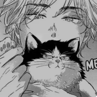 🤭 d6bf9baf ME uomo, gatto, animale domestico, animale, bianco e nero, stile manga telegram sticker