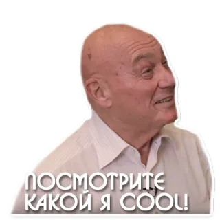 😎 b0fb16f6 ПОСМОТРИТЕ КАКОЙ Я COOL! legal, russo, homem, retrato telegram sticker