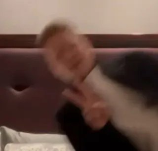 ✌️ ad3e5908 telegram sticker