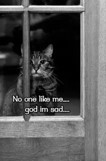 🥲 cd2abf42 No one like me.... god im sad.... kucing, sedih, jendela, hewan peliharaan, binatang, melankolis telegram sticker
