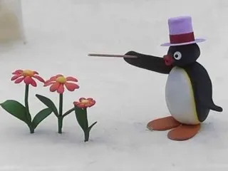๐น 8b525bec Pingu penguin, claymation, cartoon, flowers, magic telegram sticker