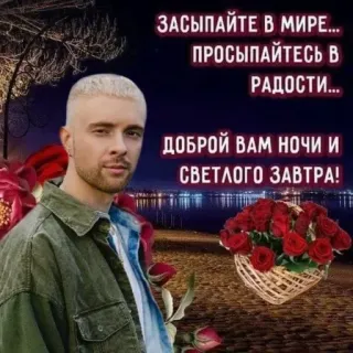 🌟 31d48389 ЗАСЫПАЙТЕ В МИРЕ... ПРОСЫПАЙТЕСЬ В РАДОСТИ... ДОБРОЙ ВАМ НОЧИ И СВЕТЛОГО ЗАВТРА! selamat malam, mawar, pria, salam, harapan, bunga whatsapp sticker