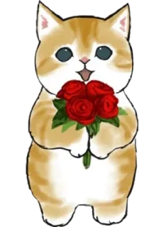 🌹 0ae28a82 kat, kitten, rozen, bloemen, dier, schattig, huisdier, cadeau, liefde whatsapp sticker