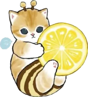 🐝 0d51df87 kat, kitten, citroen, dier, schattig, cartoon whatsapp sticker