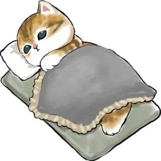 😴 1fa87d94 kat, slapen, kitten, lief, dier, bed, kussen whatsapp sticker