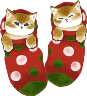🧦 28bd8eb7 kat, kitten, kerstsok, schattig, huisdier, feestdag whatsapp sticker