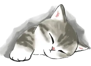 😴 28ea0feb kat, slapen, schattig, dier, huisdier, kitten whatsapp sticker