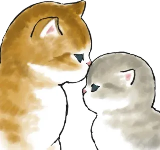 😽 2c529aff kat, kitten, schattig, dieren, huisdier, cartoon, kawaii whatsapp sticker