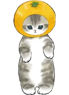 🍊 34b6e002 kat, oranje, schattig, dier, kawaii, sticker, illustratie whatsapp sticker