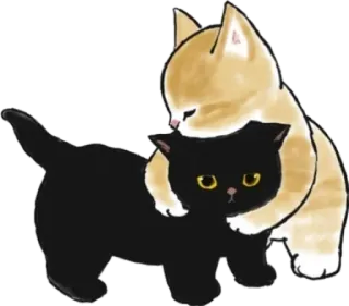 🐱 3e831a3c katten, kittens, schattig, dieren, huisdier, vriendschap, genegenheid whatsapp sticker