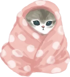 🥶 45d62cee kat, kitten, dier, schattig, deken, stippen whatsapp sticker