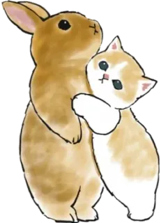 🤗 5427d465 konijn, konijntje, kat, kitten, dier, schattig, vriendschap whatsapp sticker