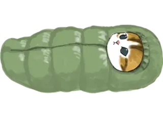 ⛺️ 7a27c6aa kat, slaapzak, dier, schattig, knus, cartoon whatsapp sticker